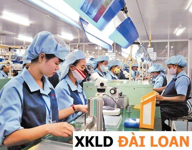 Tìm Hiểu Về Chi Phí, Quy Trình Môi Giới Xuất Khẩu Lao động Đài Loan