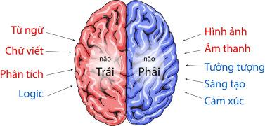 hoc_tieng_nhat_co_ban_2