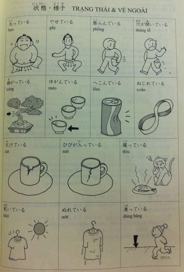 Từ vựng tiếng Nhật bài 29 và thông tin tham khảo về chủ đề Trạng thái & vẻ ngoài