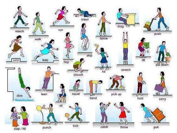 Hoc-tieng-anh-qua-hinh-anh-minh-hoa-theo-chu-de-dong-tu