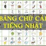 4 Bảng Chữ Cái Tiếng Nhật Cần Thiết Cho Người Mới Học