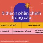 Cấu trúc câu trong Tiếng Anh – Ngữ pháp cơ bản cần phải biết.