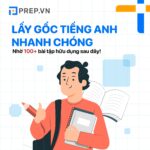100+ bài tập tiếng Anh cho người mất gốc cơ bản mới nhất 2023