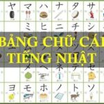 Bảng Chữ Cái Tiếng Nhật Cho Người Mới Bắt Đầu