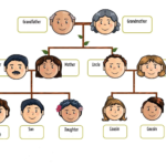 500+ Từ vựng tiếng Anh cơ bản theo chủ đề thông dụng đầy đủ nhất