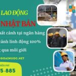 Top 17 đơn hàng đi Nhật Bản cho nam và nữ thi tuyển tháng 10/2023