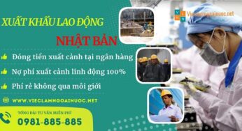 Top 17 đơn hàng đi Nhật Bản cho nam và nữ thi tuyển tháng 10/2023
