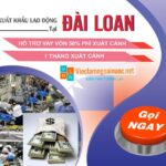 Xuất khẩu lao động Đài Loan 2023 chi phí và các dạng đơn hàng tốt nhất