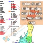 Đi Nhật nên chọn tỉnh nào trong 9 tỉnh thành phố có lương cao nhất này?