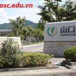 Sở hữu ngay 2 bằng ĐH khi du học tại Đại học Ngắn hạn Yamaguchi