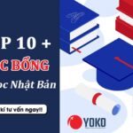 TOP 10+ hoc bổng du học Nhật Bản được săn đón nhiều nhất