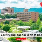 TOP 15 các trường đại học ở Nhật bản cho du học sinh