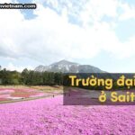 Danh sách các trường đại học ở Saitama Nhật Bản