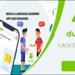 Cách tạo tài khoản Duolingo học tiếng Anh
