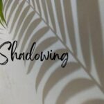 Cùng bạn khám phá Nhật Bản