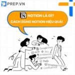 Bạn đã biết cách sử dụng Notion để học từ vựng tiếng Anh hiệu quả?
