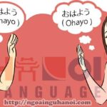 Cách nói chào hỏi bằng tiếng Nhật, Bạn đã biết chưa?