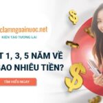Đi Nhật 3 năm về được bao nhiêu tiền sau khi trừ hết các chi phí đi rồi