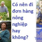 Những Lý Do Trả Lời: Có Nên Đi Đơn Hàng Nông Nghiệp Hay Không?