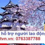 Có nên đi du học điều dưỡng Nhật Bản không?