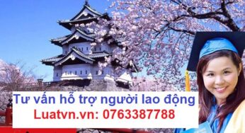 Có nên đi du học điều dưỡng Nhật Bản không?