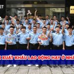 Nên đi xuất khẩu lao động hay ở nhà?