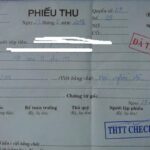 Pháp Luật Plus