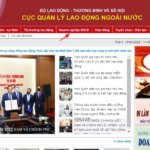 Tra cứu các công ty xuất khẩu lao động được cấp phép hoạt động