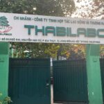 Công ty THABILABCO bị “tố” thu sai quy định để chuyển giai đoạn thực tập sinh