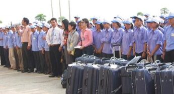 Tạm dừng 5 Công ty xuất khẩu lao động Đài Loan