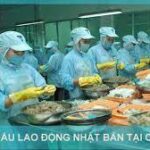 Công ty xuất khẩu lao động Nhật Bản uy tín