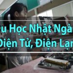 Du học ở Nhật xong làm gì? Gợi ý cơ hội nghề nghiệp sau khi du học Nhật