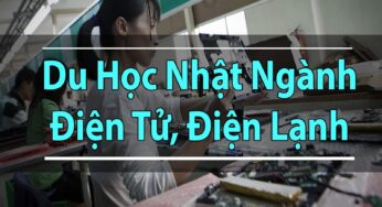 Du học ở Nhật xong làm gì? Gợi ý cơ hội nghề nghiệp sau khi du học Nhật