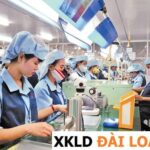 Tìm hiểu về chi phí, quy trình môi giới xuất khẩu lao động Đài Loan
