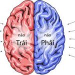 Gia Sư Tiếng Nhật