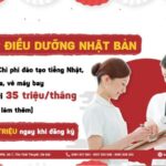 Đi XKLĐ Nhật Bản 2023 có gì mới và những điều cần biết (Full)