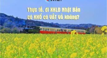 Đi xuất khẩu lao động Nhật Bản có khổ và vất vả không?