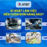 [XKLĐ 2023+] Đi Nhật nên chọn đơn hàng nào tốt lương cao?