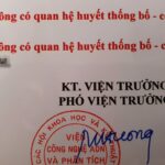 Đi xuất khẩu lao động về, đau lòng phát hiện 2 con không cùng huyết thống