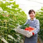 Xuất Khẩu Lao Động Hàn Quốc 2023: Ước Mơ Gắn Liền Thực Tế