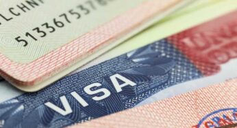 Xuất Khẩu Lao Động Mỹ Khó Hay Dễ? Thông Tin Năm 2023