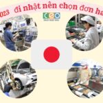 Góc Tư Vấn: 6 Thông Tin Khi Quyết Định Đi Nhật Nên Chọn Đơn hàng nào?