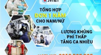 Top 15 đơn hàng đi Nhật 1 năm mới nhất 2023 – lương 48 triệu