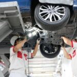 Danh sách các đơn hàng xuất khẩu Nhật Bản mới nhất năm 2023