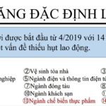 Du học Nhật Bản 1 năm – Chuyển đổi Visa Tokutei – Không phụ thuộc công ty môi giới