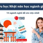 Du học Nhật nên học ngành gì? 15 ngành nghề dễ xin việc nhất