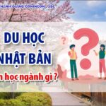Du học Nhật nên học ngành gì dễ xin việc, thu nhập cao?