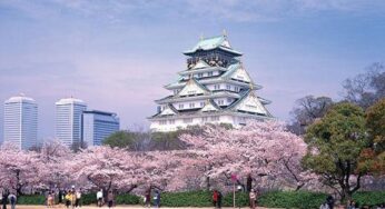 Du học Nhật Bản tại Osaka nên chọn trường nào để theo học?