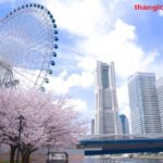 Du học Nhật Bản tại Yokohama có gì hấp dẫn