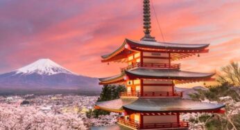 Du học nhật ngắn hạn: Chương trình đào tạo tại Nhật Bản